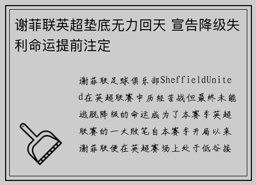 谢菲联英超垫底无力回天 宣告降级失利命运提前注定 谢菲联英超垫底无力回天 宣告降级失利命运提前注定